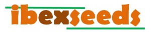 logo for ibexseeds idea
