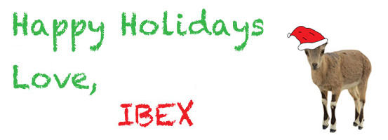 Happy-Holidays-IBEX