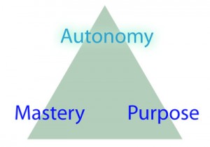 Autonomy Mastery Purpose Triangle