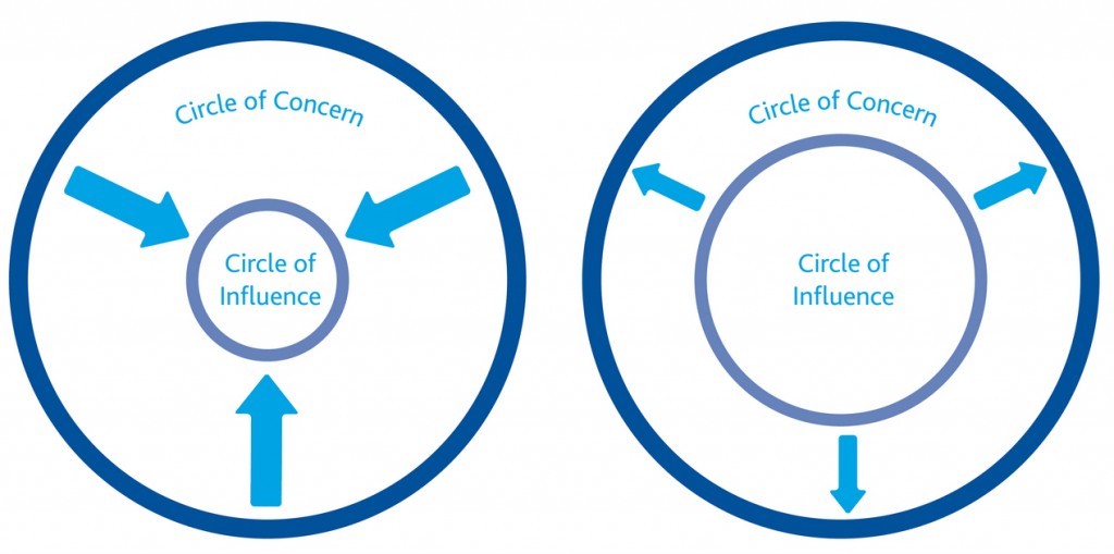 circles depicting amount of influence